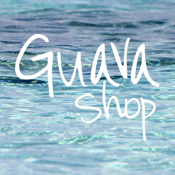 Client Spotlight :: Guava Shop
