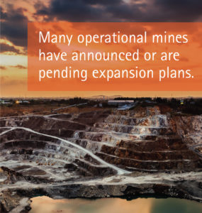 International Copper Association - Demands of Copper Infographic Quote Annatto