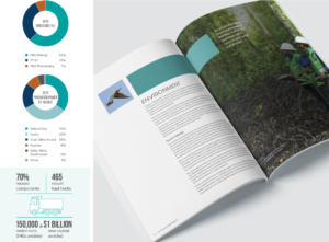 2019 Sustainability Report International Mining Company - Data Visualization